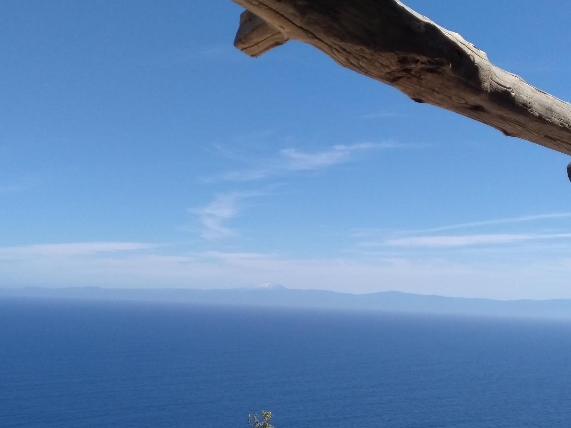 Alicudi Giardino dei Carrubi- al gradino 365