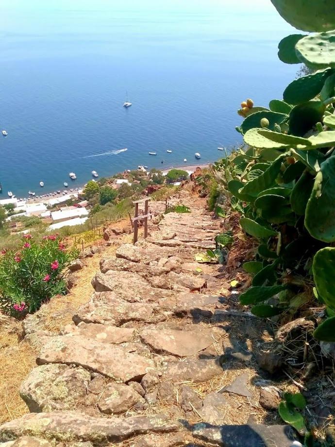 Alicudi Giardino dei Carrubi- al gradino 365