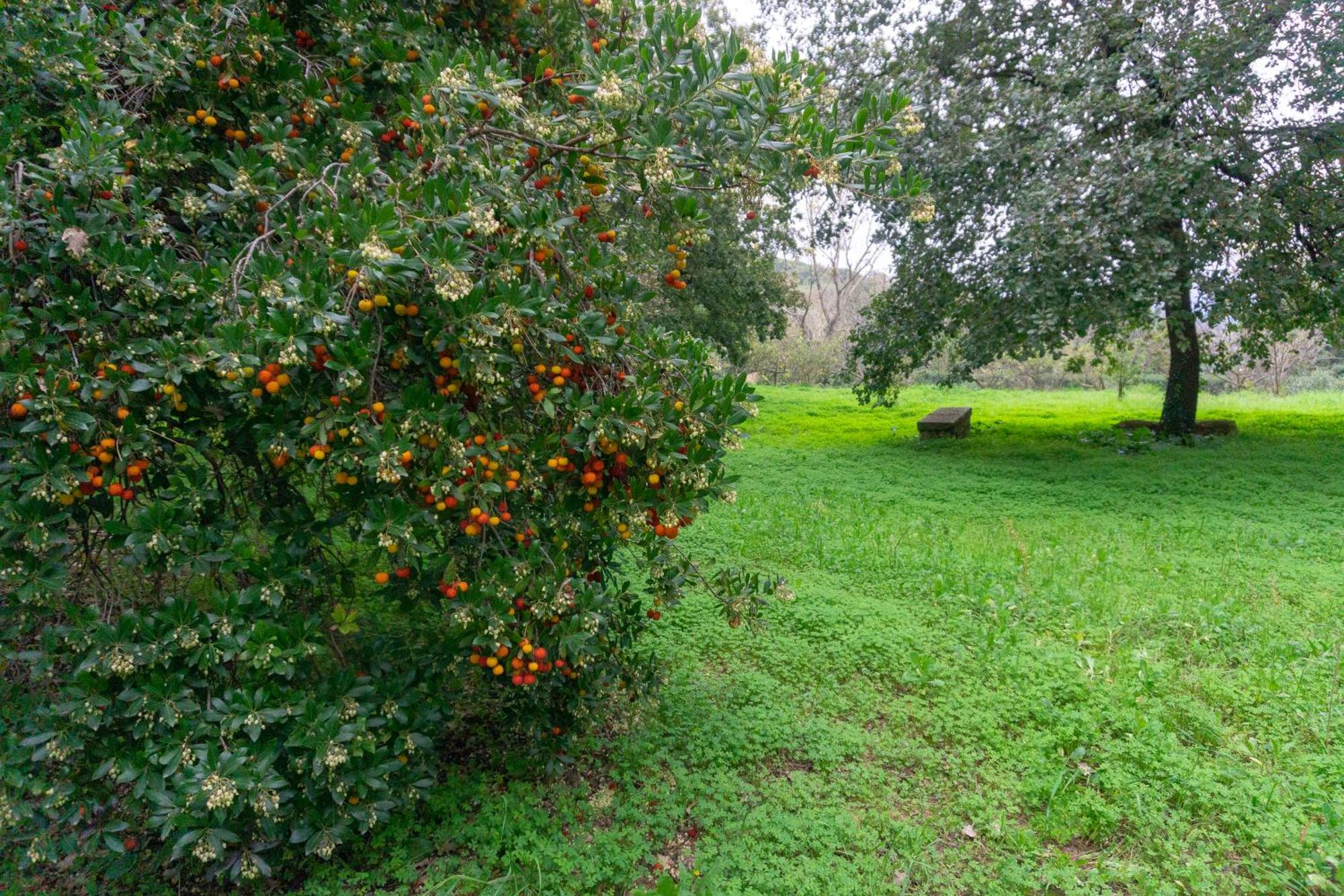 Villa Trigona