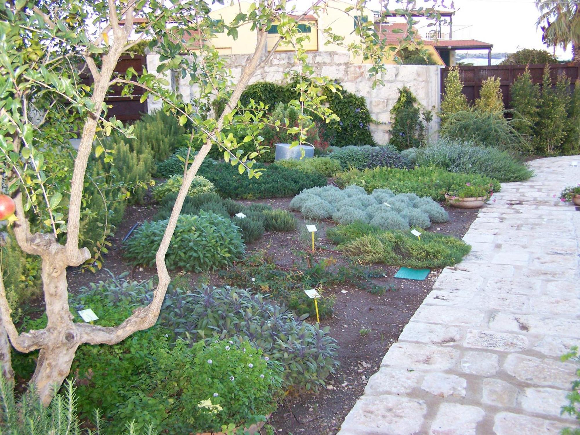 La Scibina