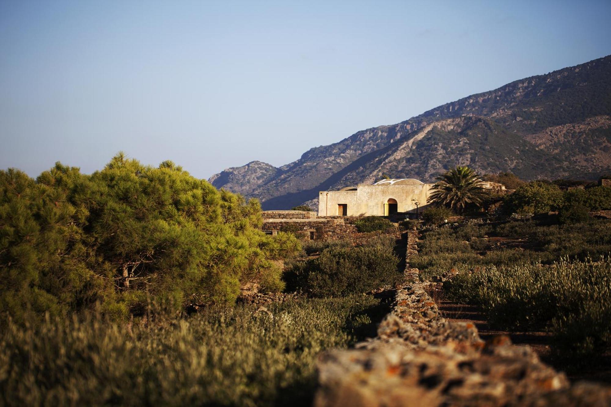 Tenuta Borgia