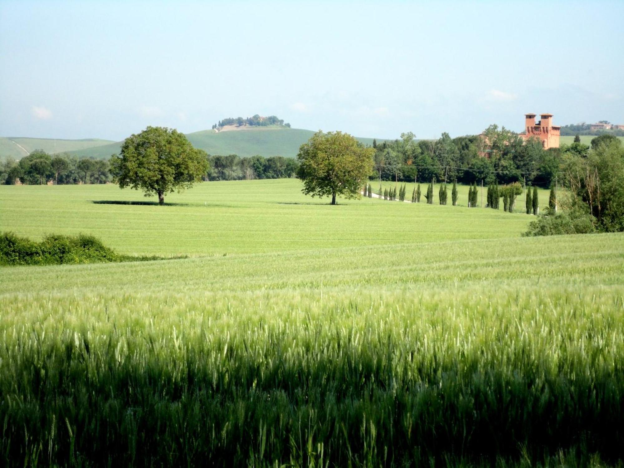 Castello di San Fabiano