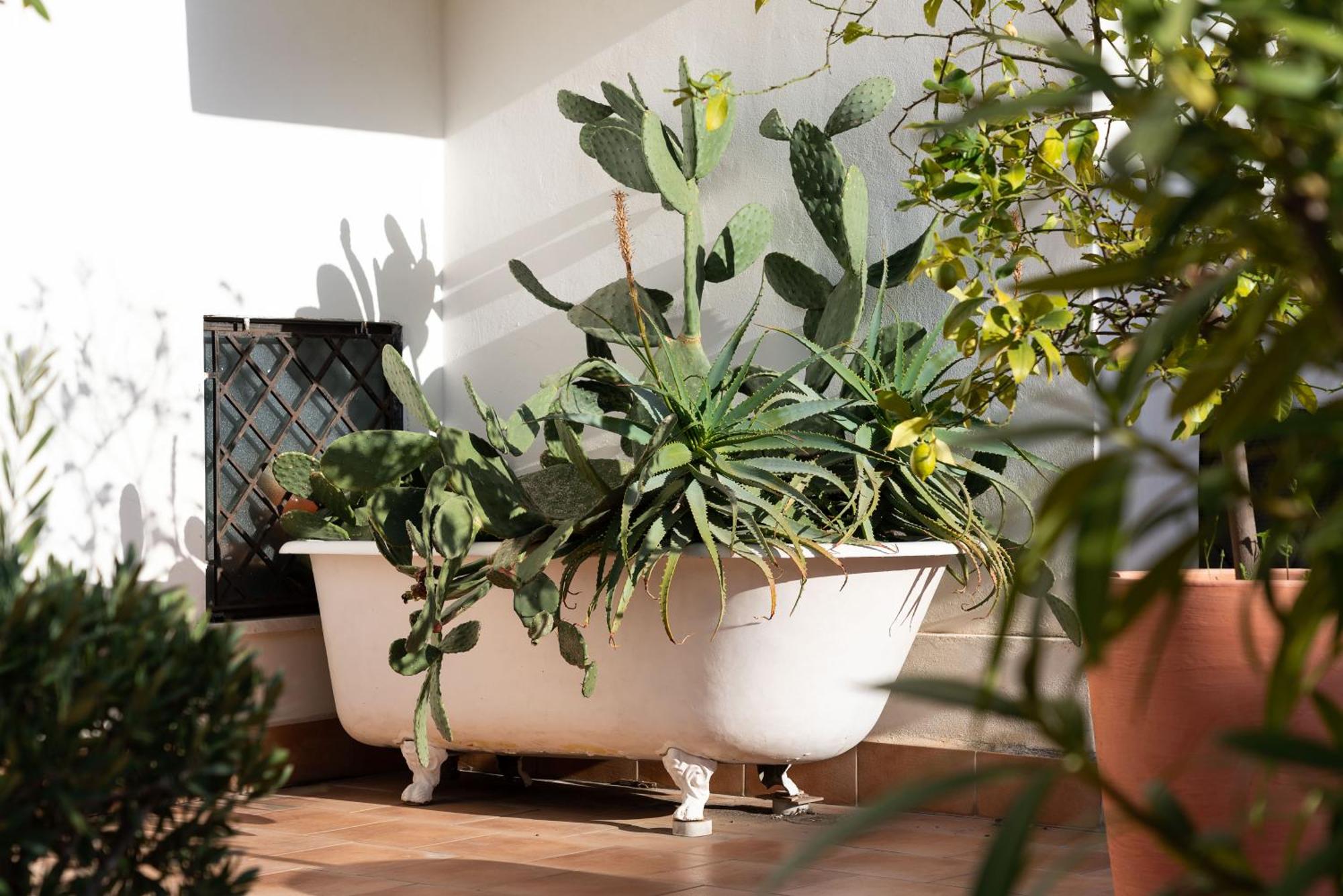 Il Giardino di Ballarò Boutique B&B