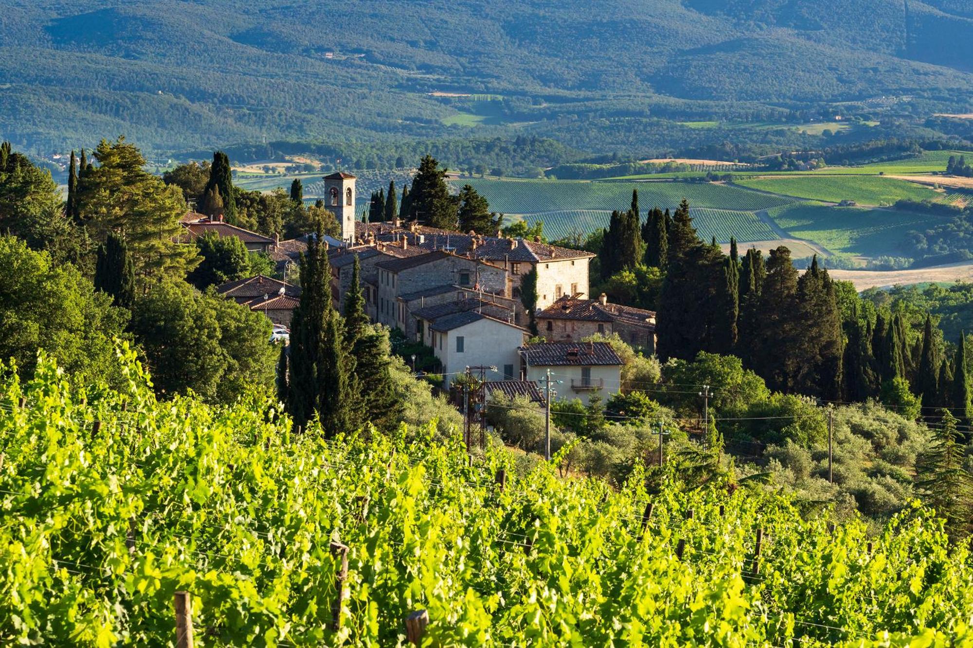 Castello di Fonterutoli