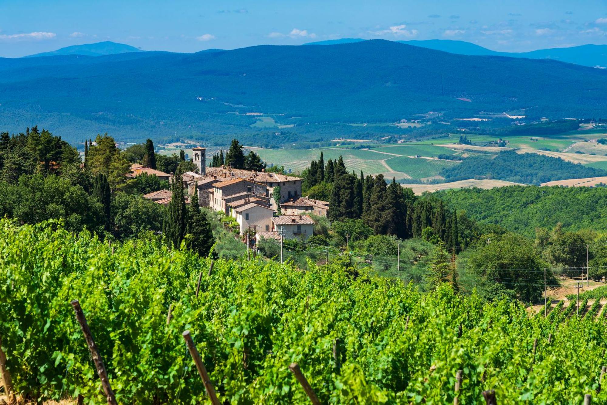 Castello di Fonterutoli