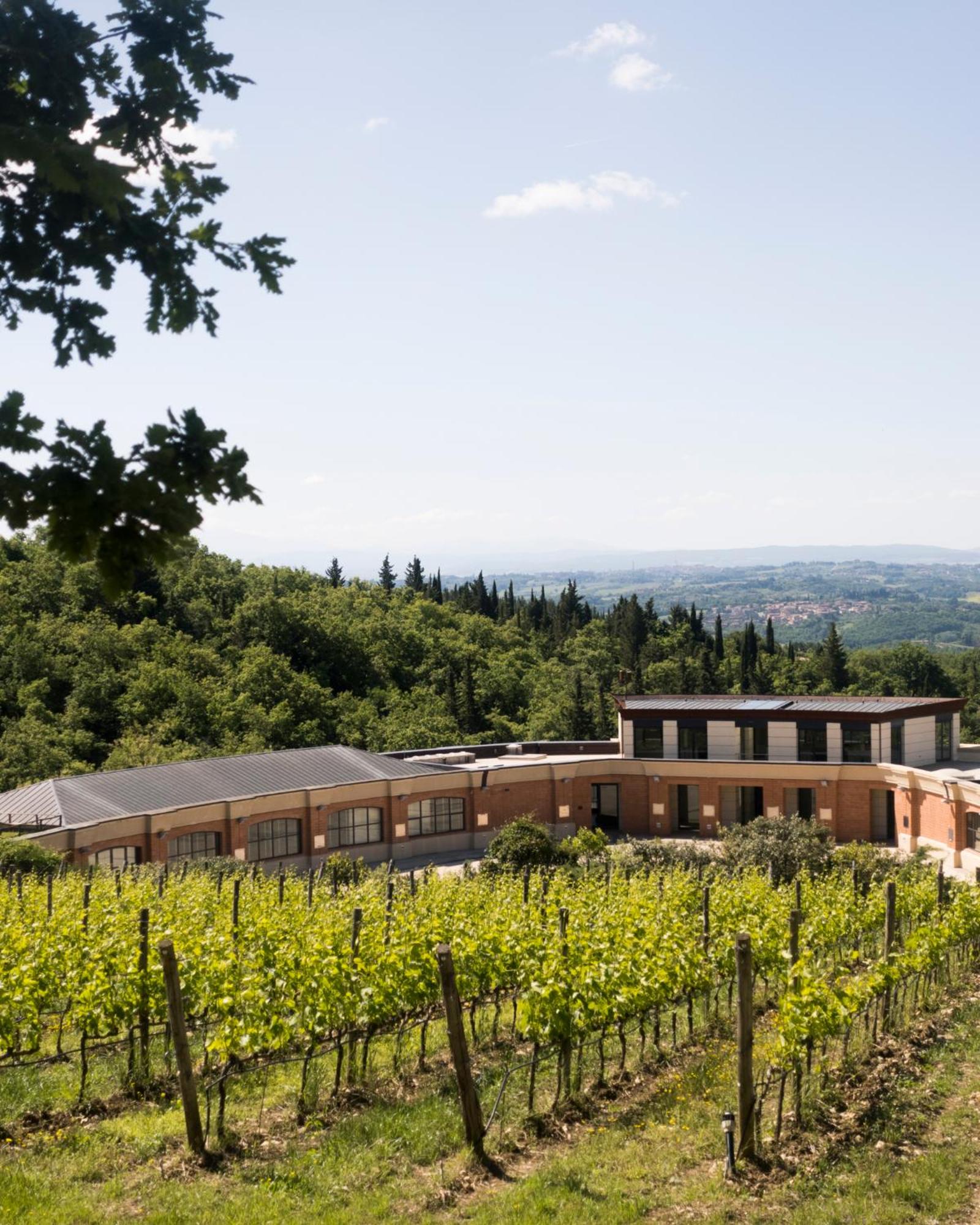 Castello di Fonterutoli