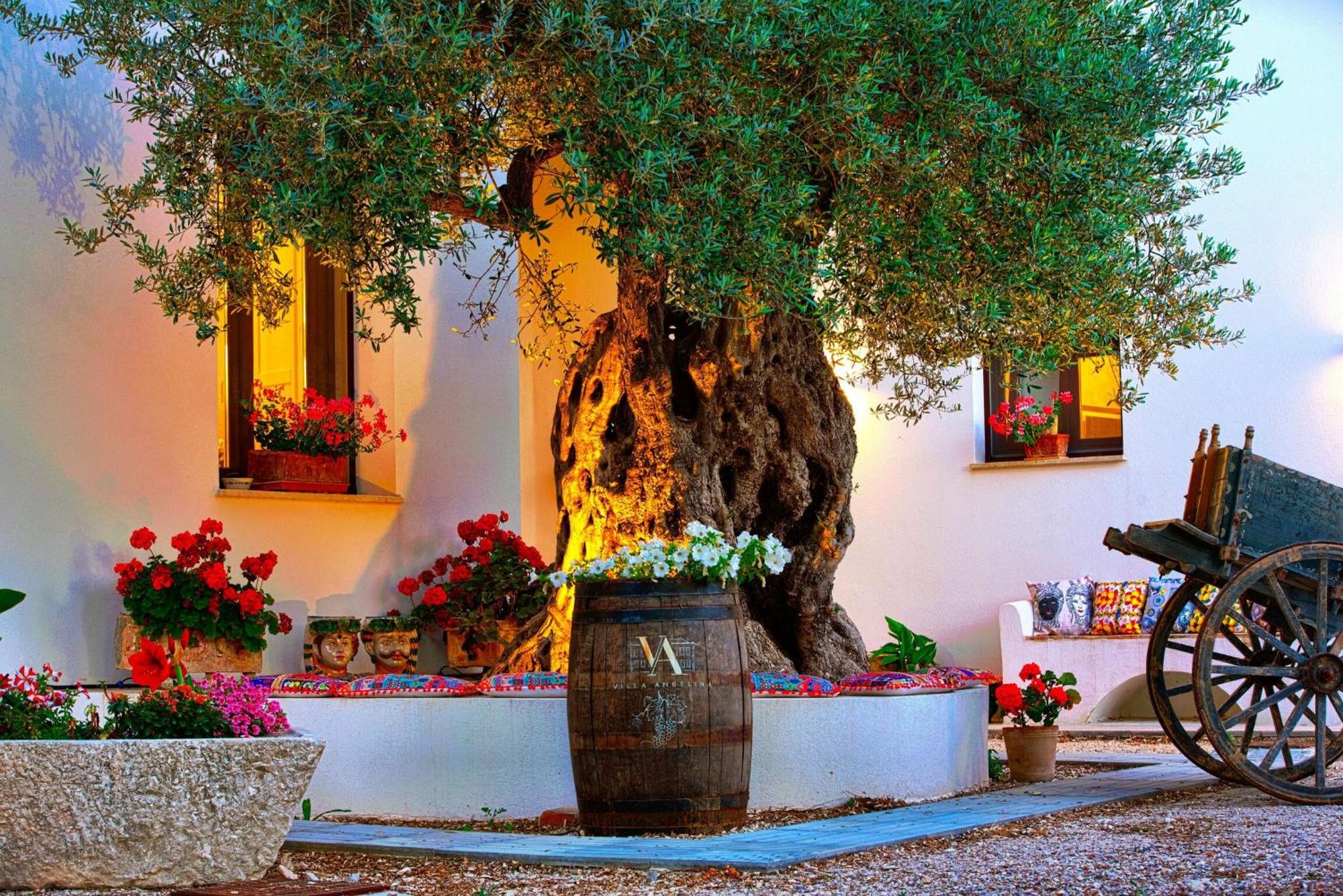 Villa Angelina - rooms Trapani, Sicily