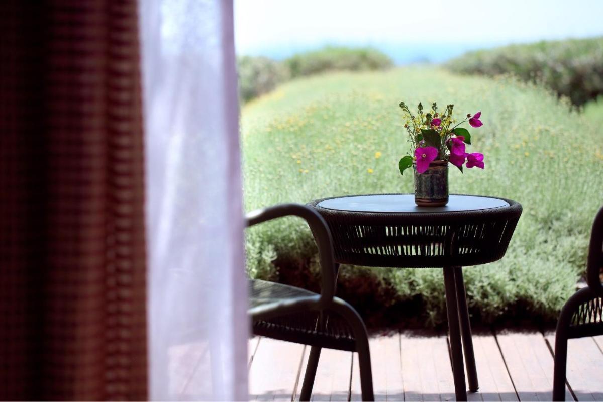 La Foresteria Wine Resort & Beach Club