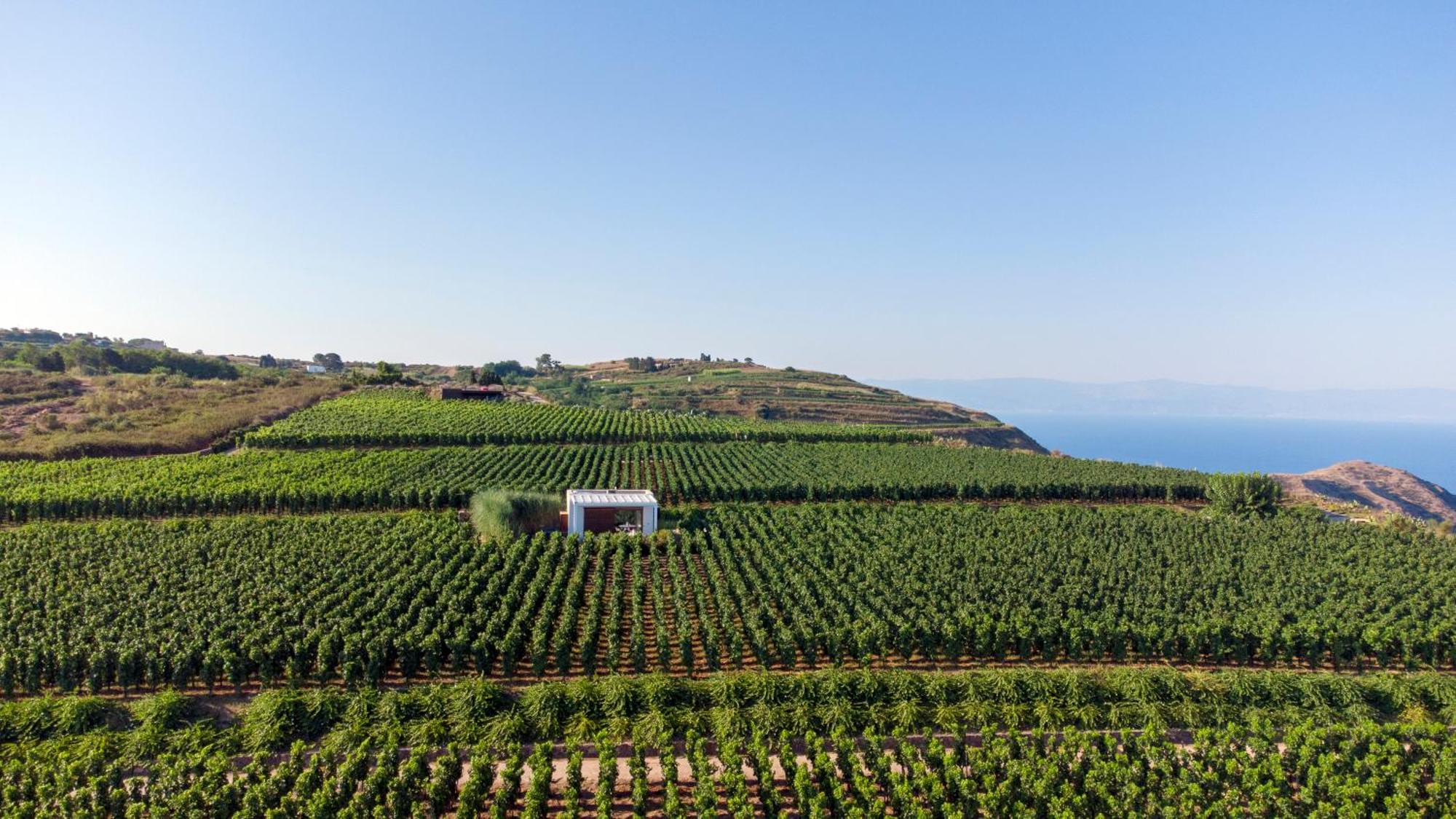 Tenuta di Castellaro Winery & Resort