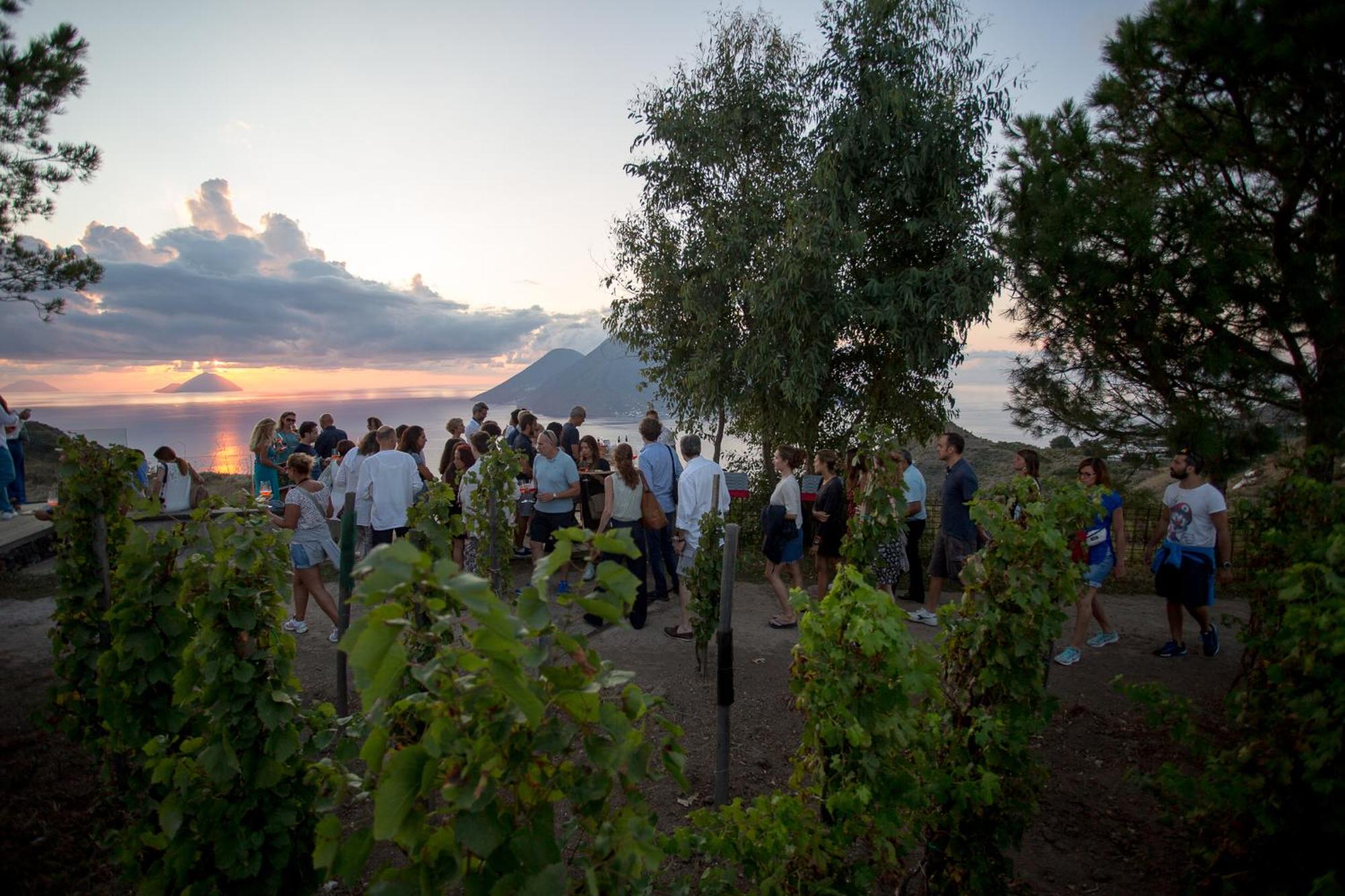 Tenuta di Castellaro Winery & Resort