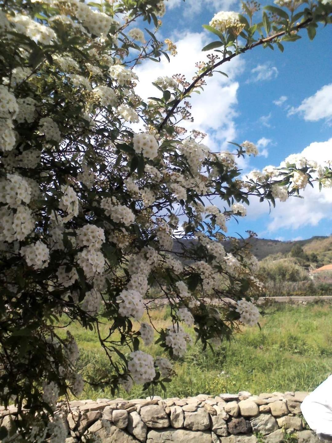 Tenuta EDONE' Country House