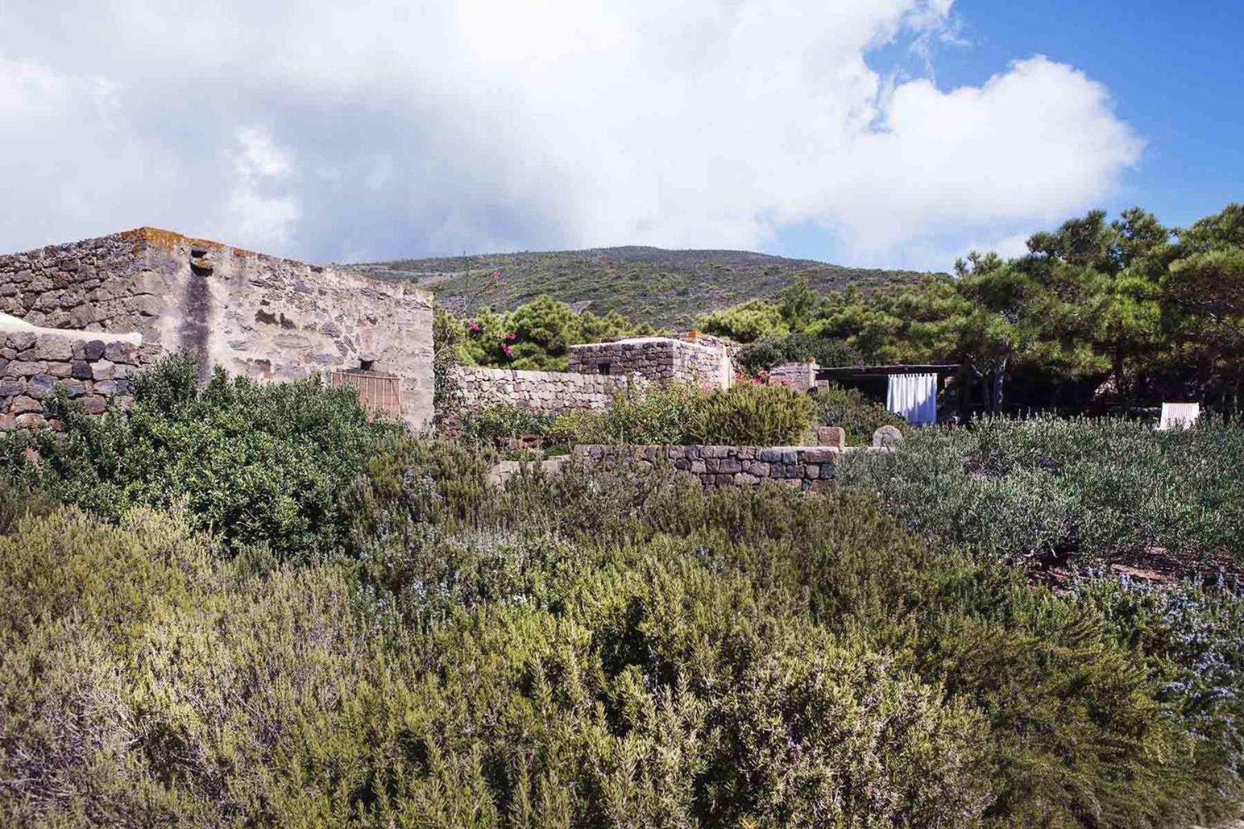 Tenuta Borgia