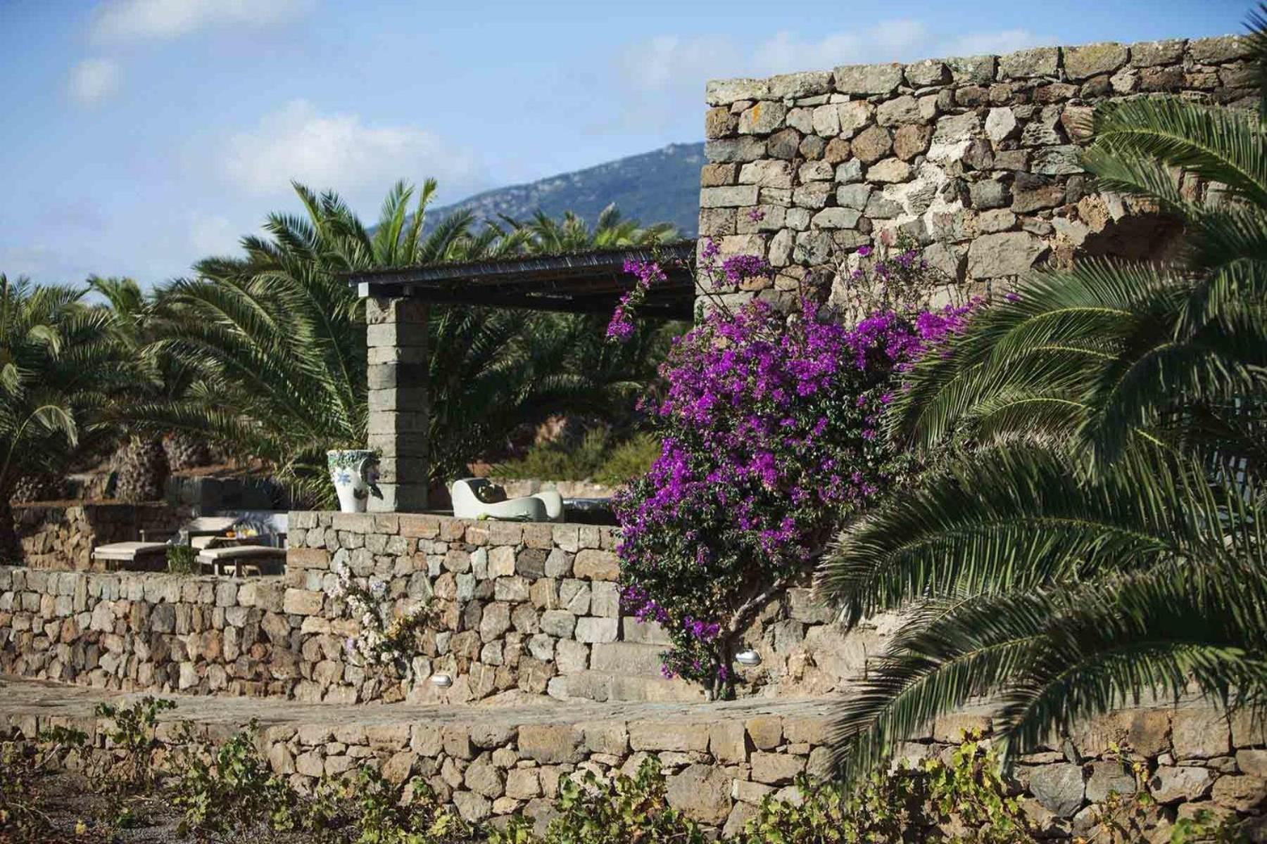 Tenuta Borgia