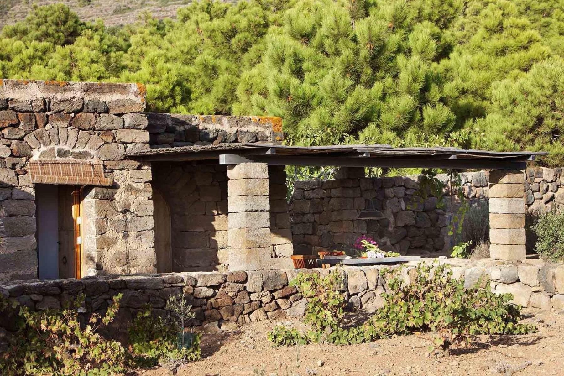 Tenuta Borgia
