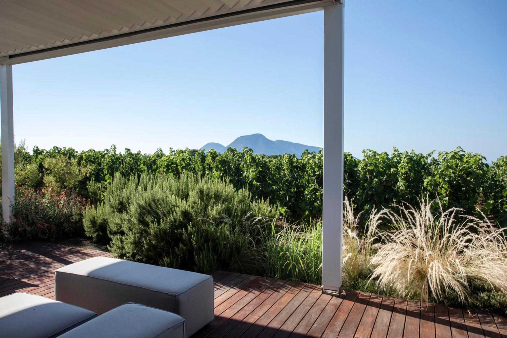 Tenuta di Castellaro Winery & Resort
