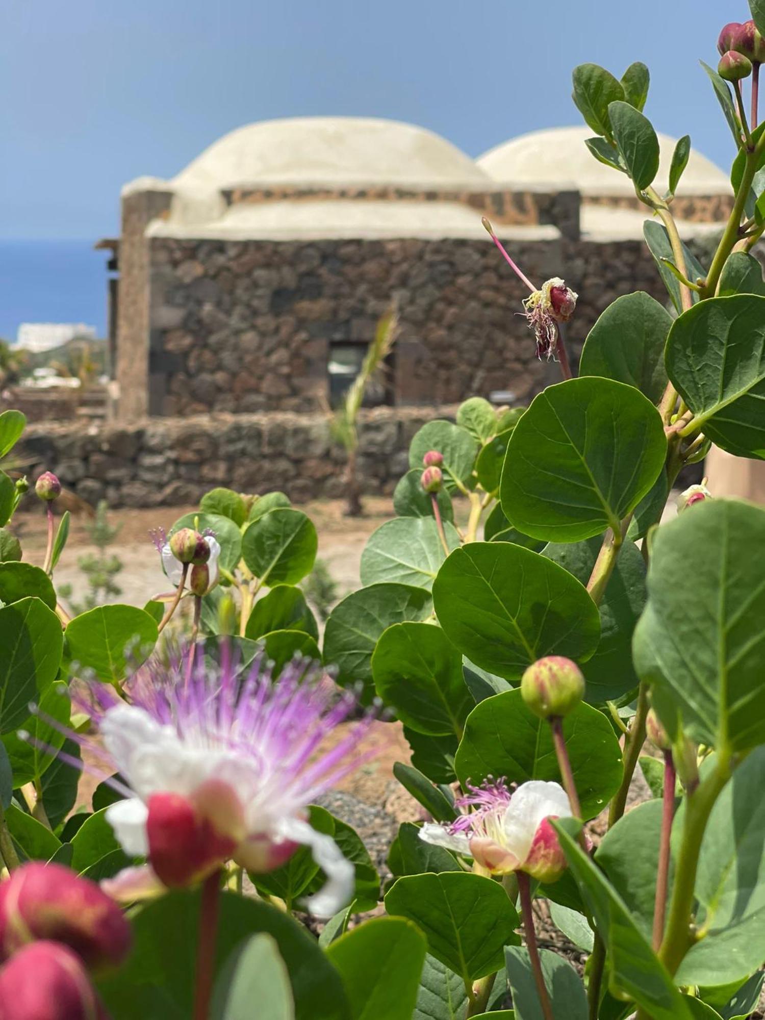 Kirani Resort