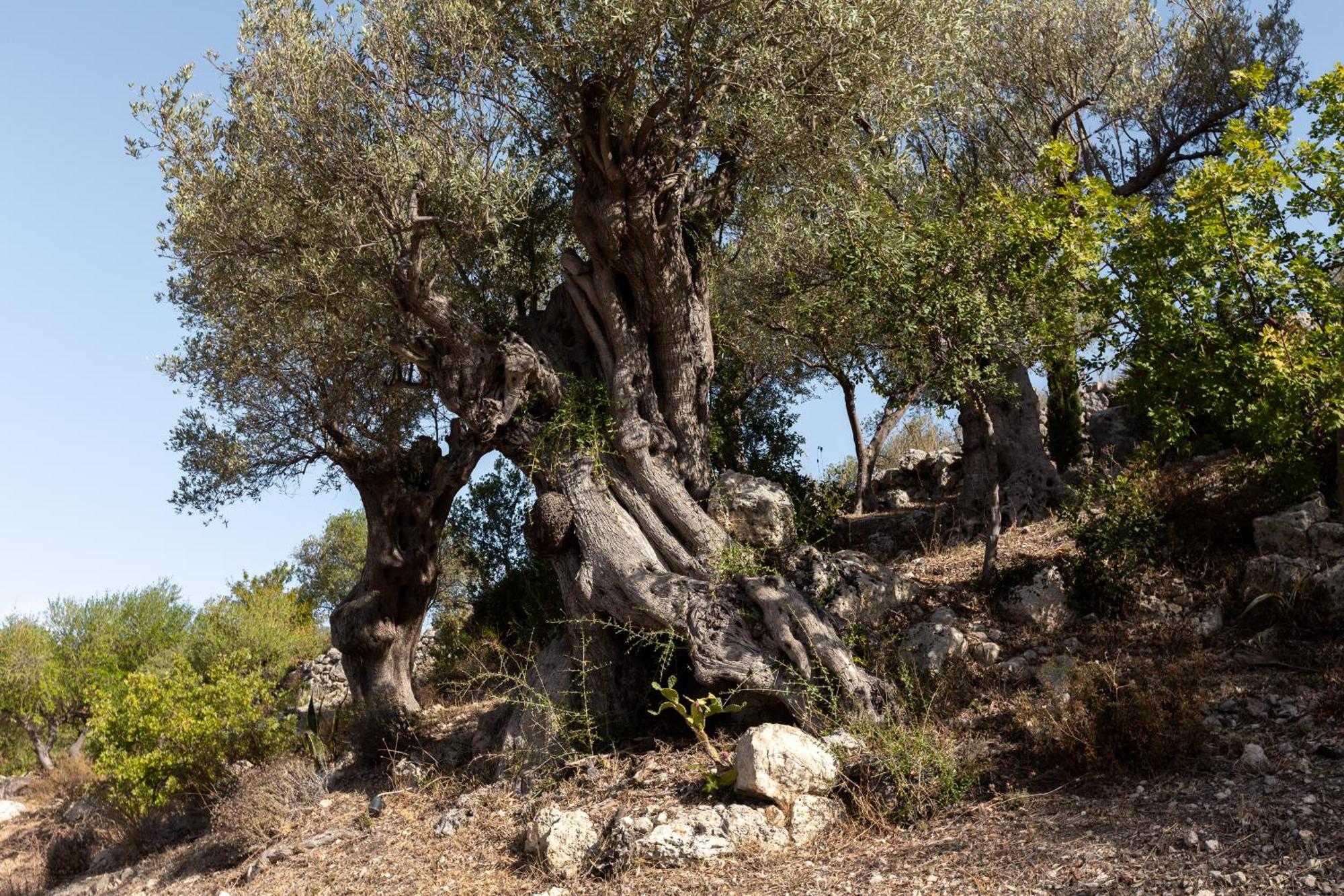 Buahjar Boutique Home Apartment