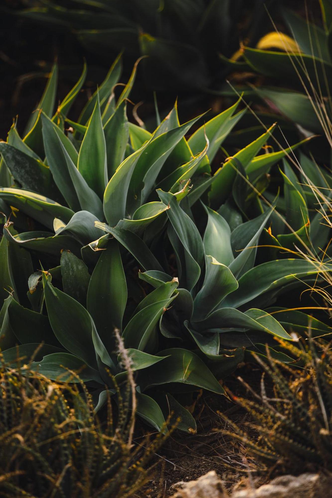 Buahjar Boutique Home Apartment