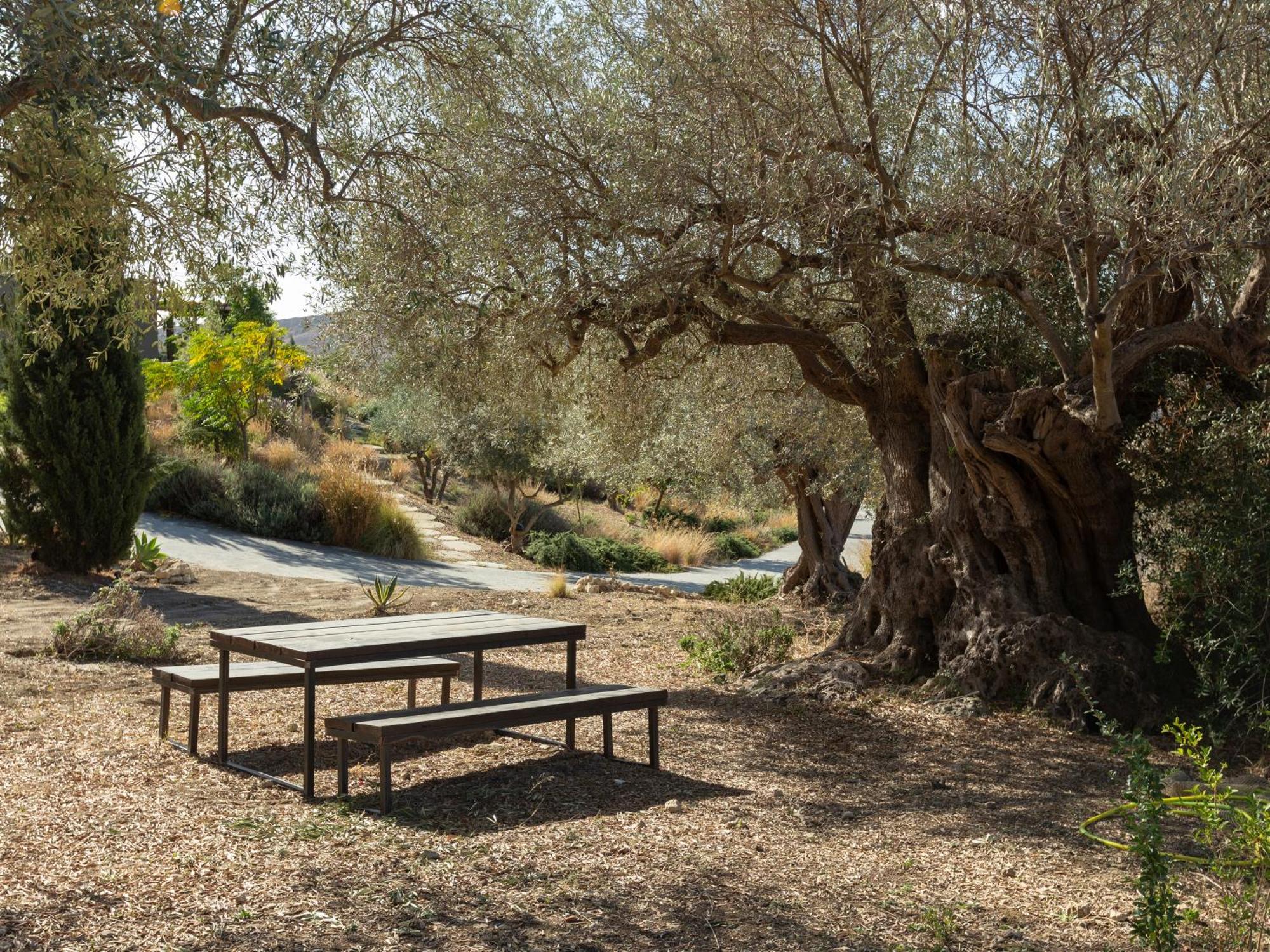 Buahjar Boutique Home Apartment