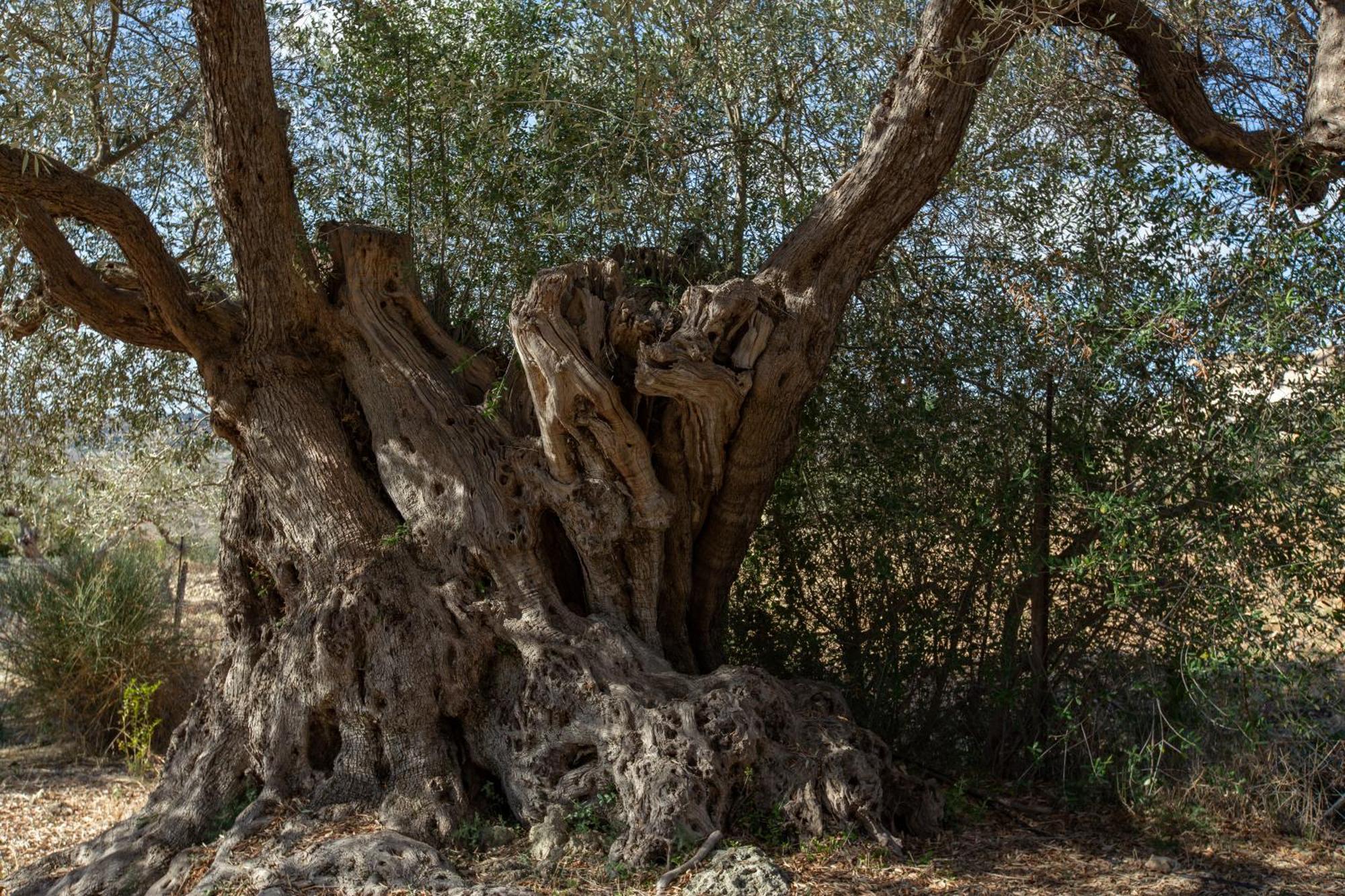 Buahjar Boutique Home Apartment