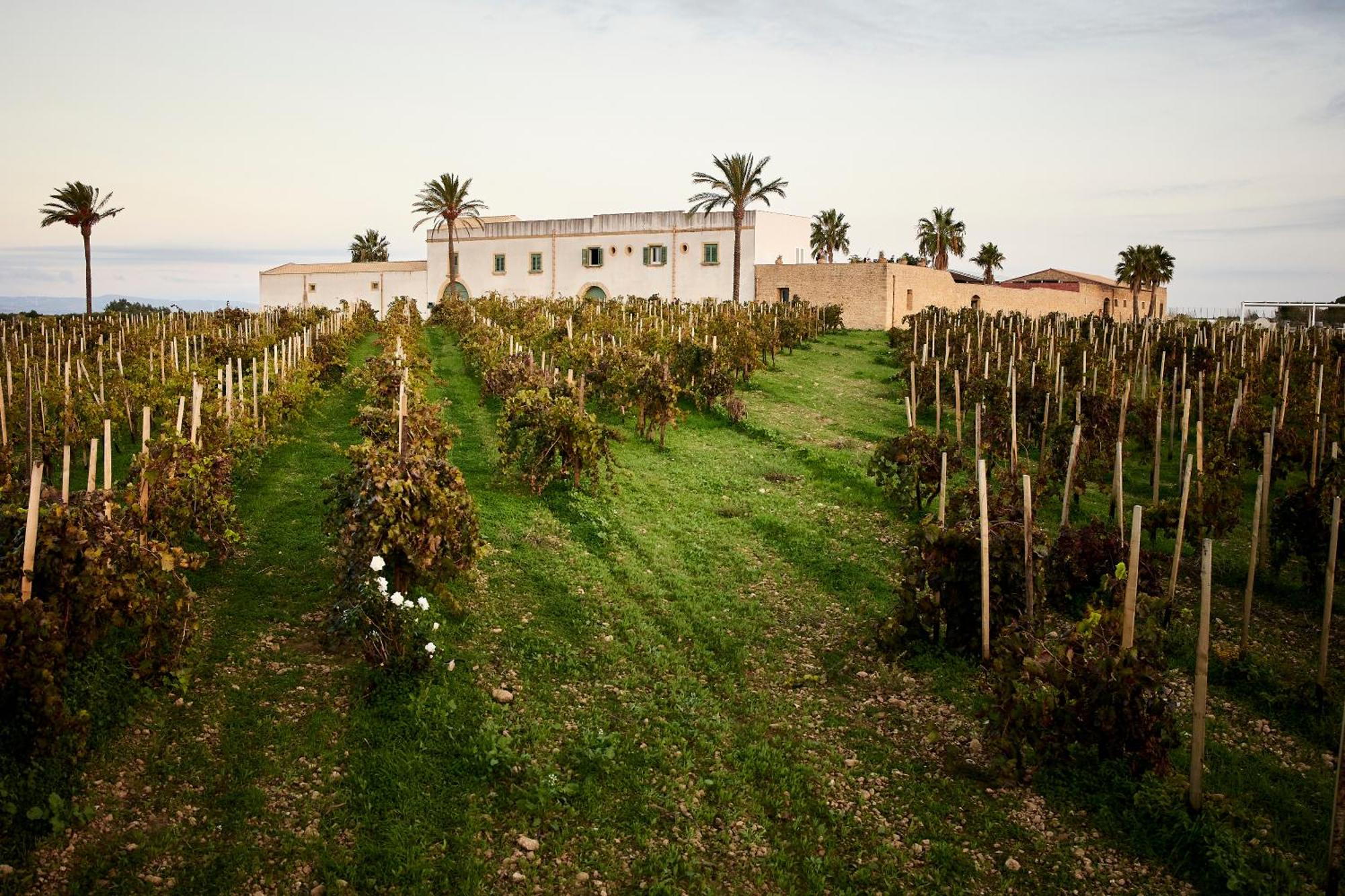 Agriturismo Baglio Donnafranca Wine Resort