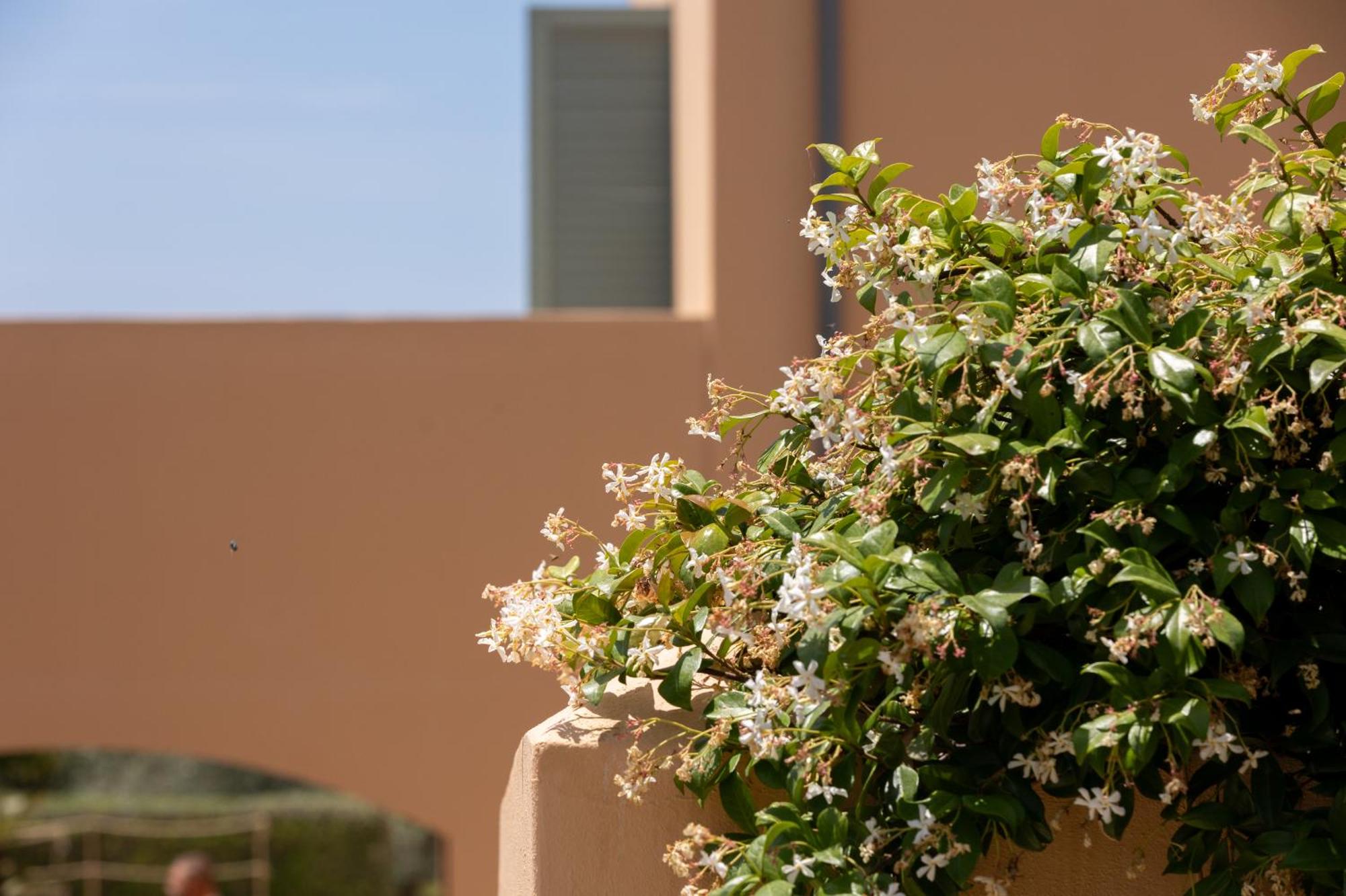 Country House Planeta Estate