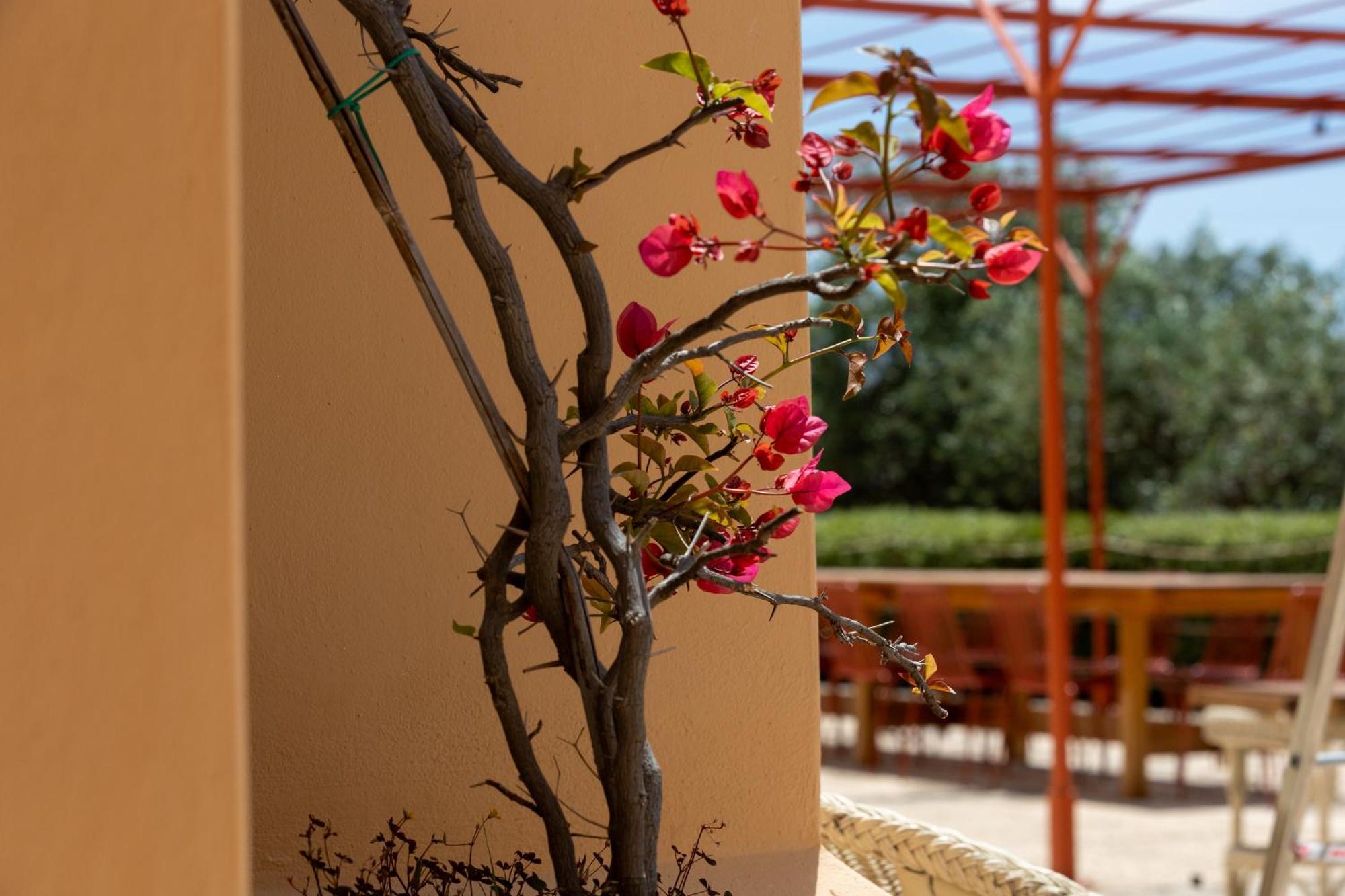 Country House Planeta Estate