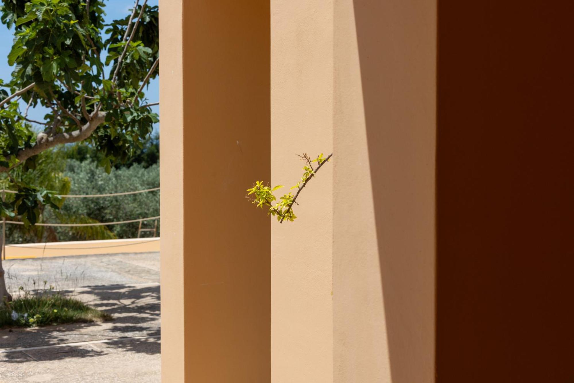 Country House Planeta Estate
