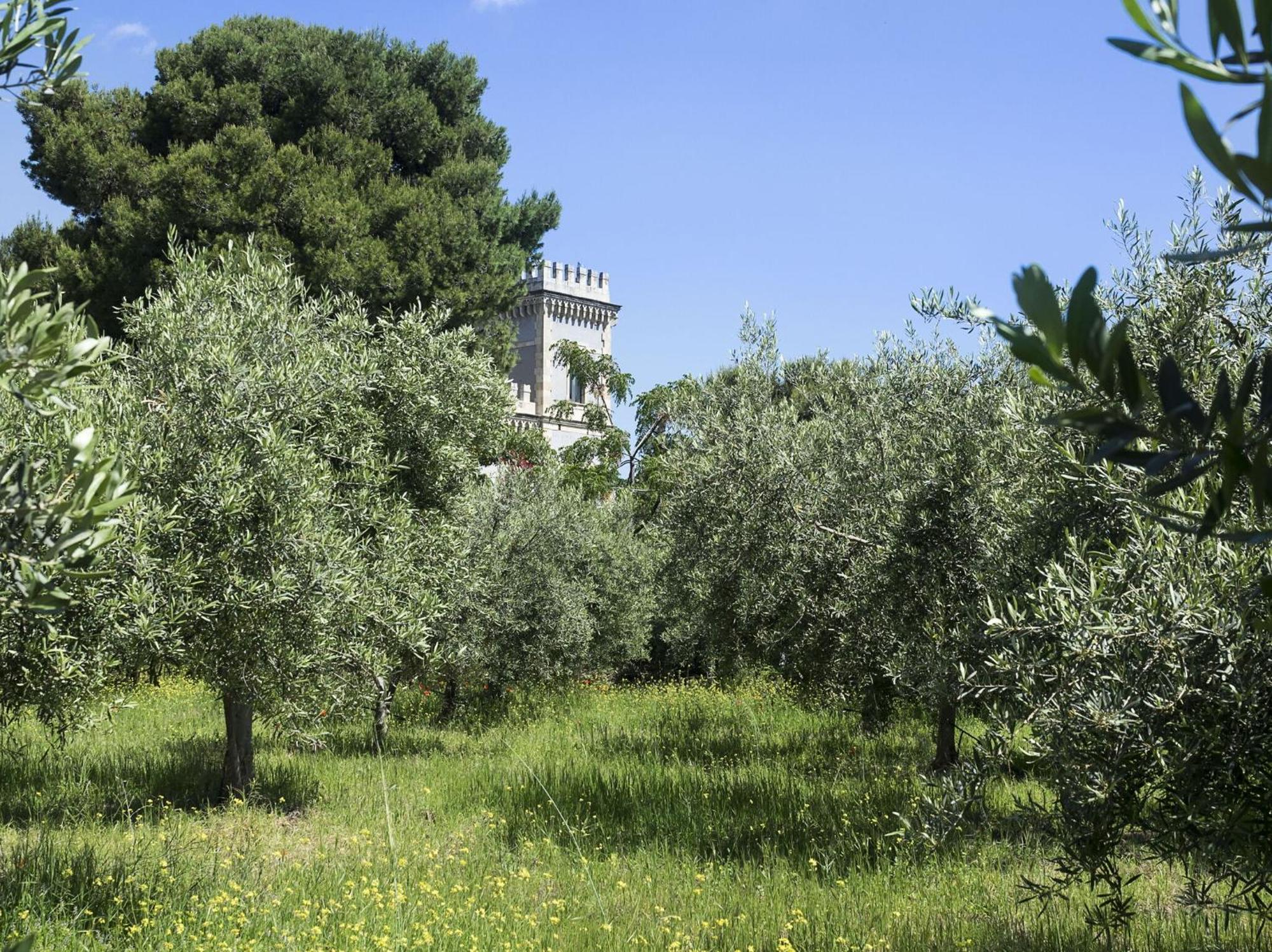 Villa Castello Claves
