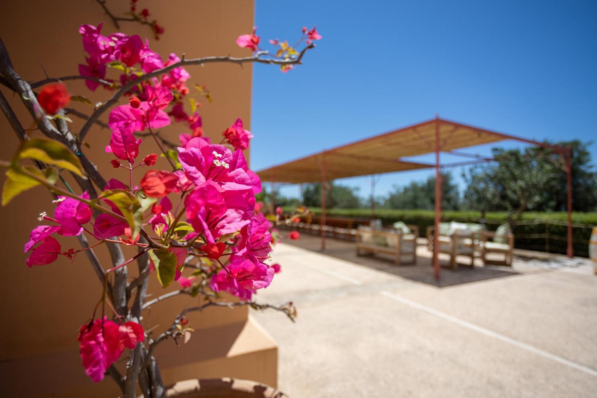 Country House Planeta Estate