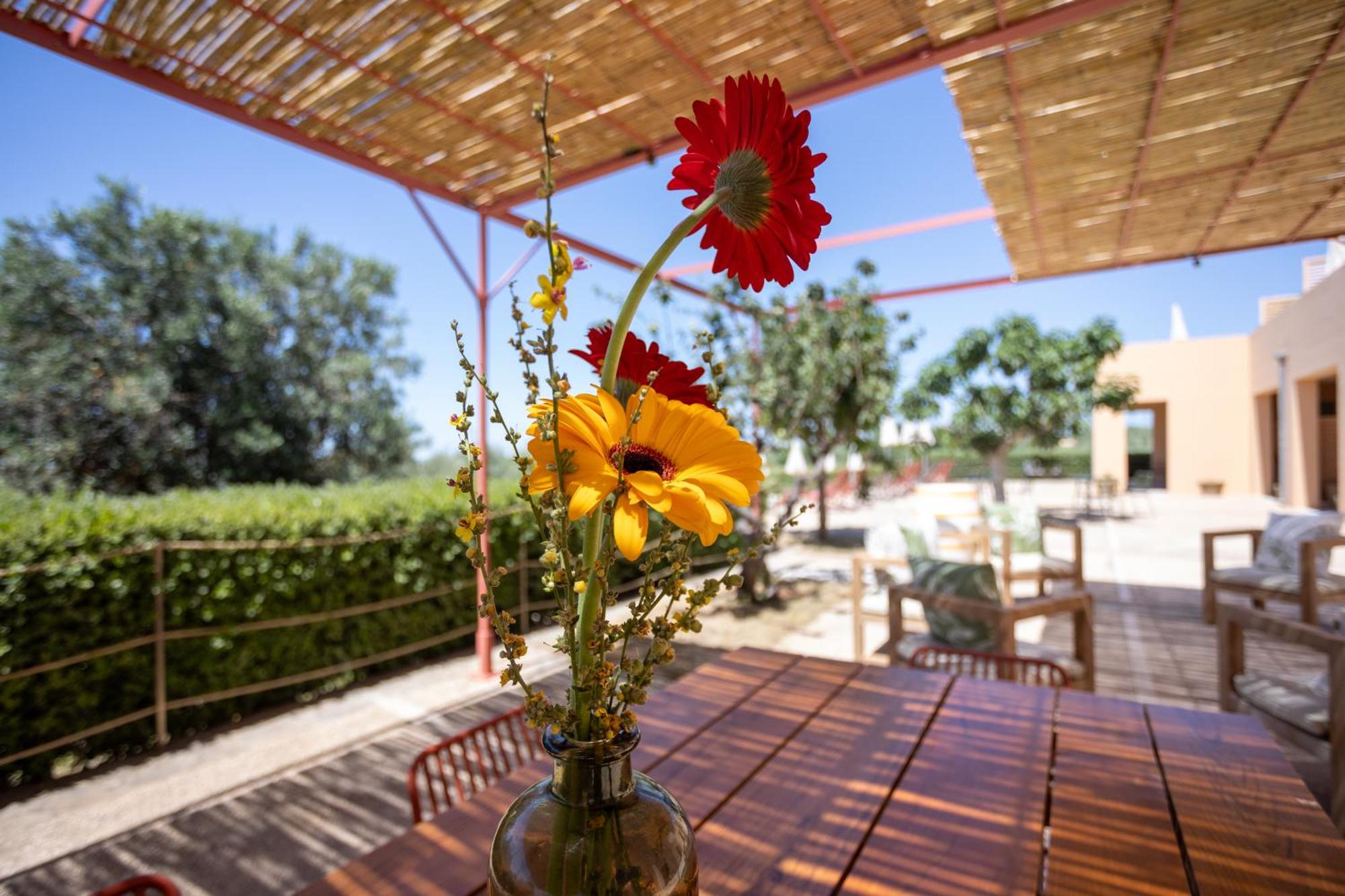 Country House Planeta Estate