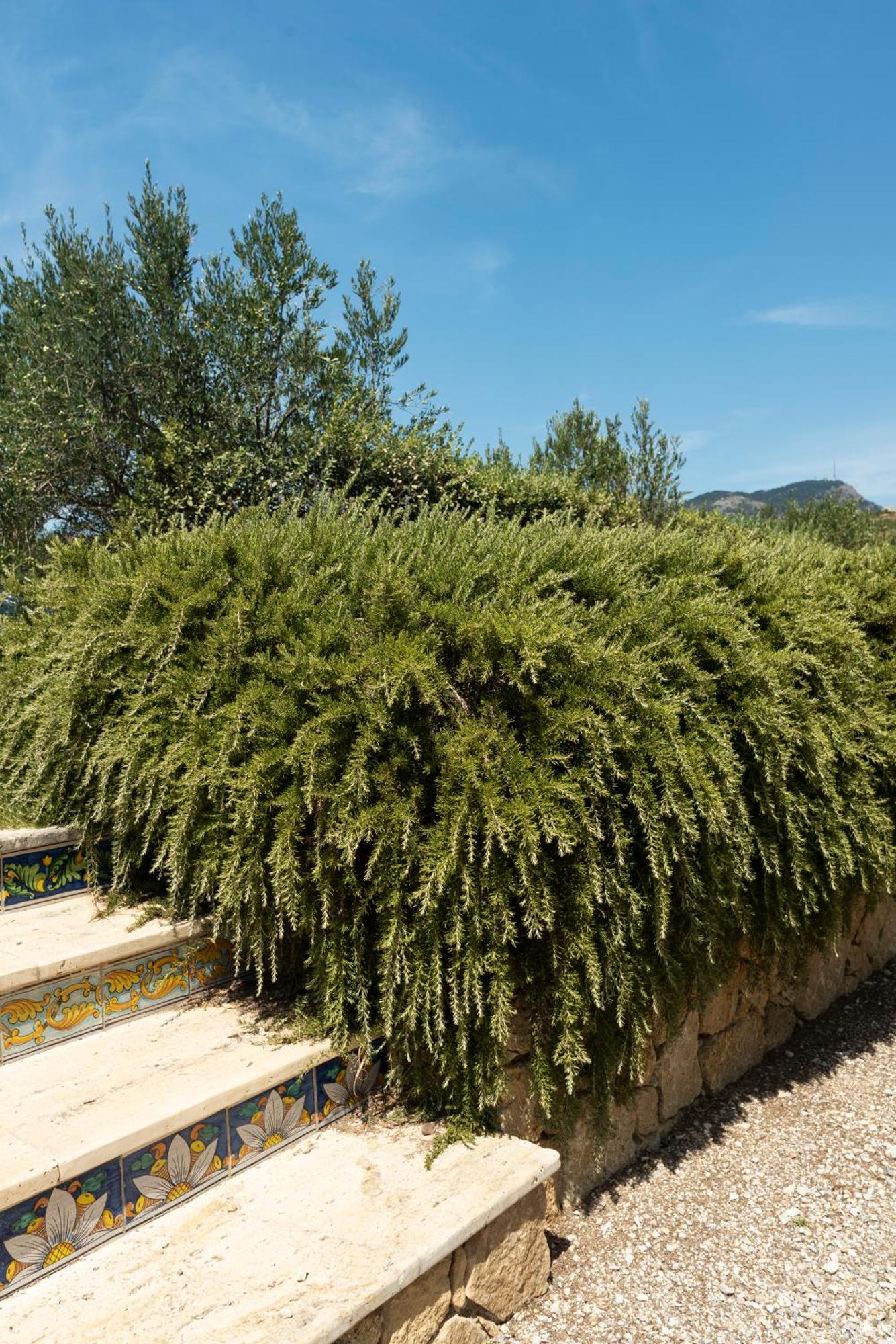 Tenute Baglio Passofondo