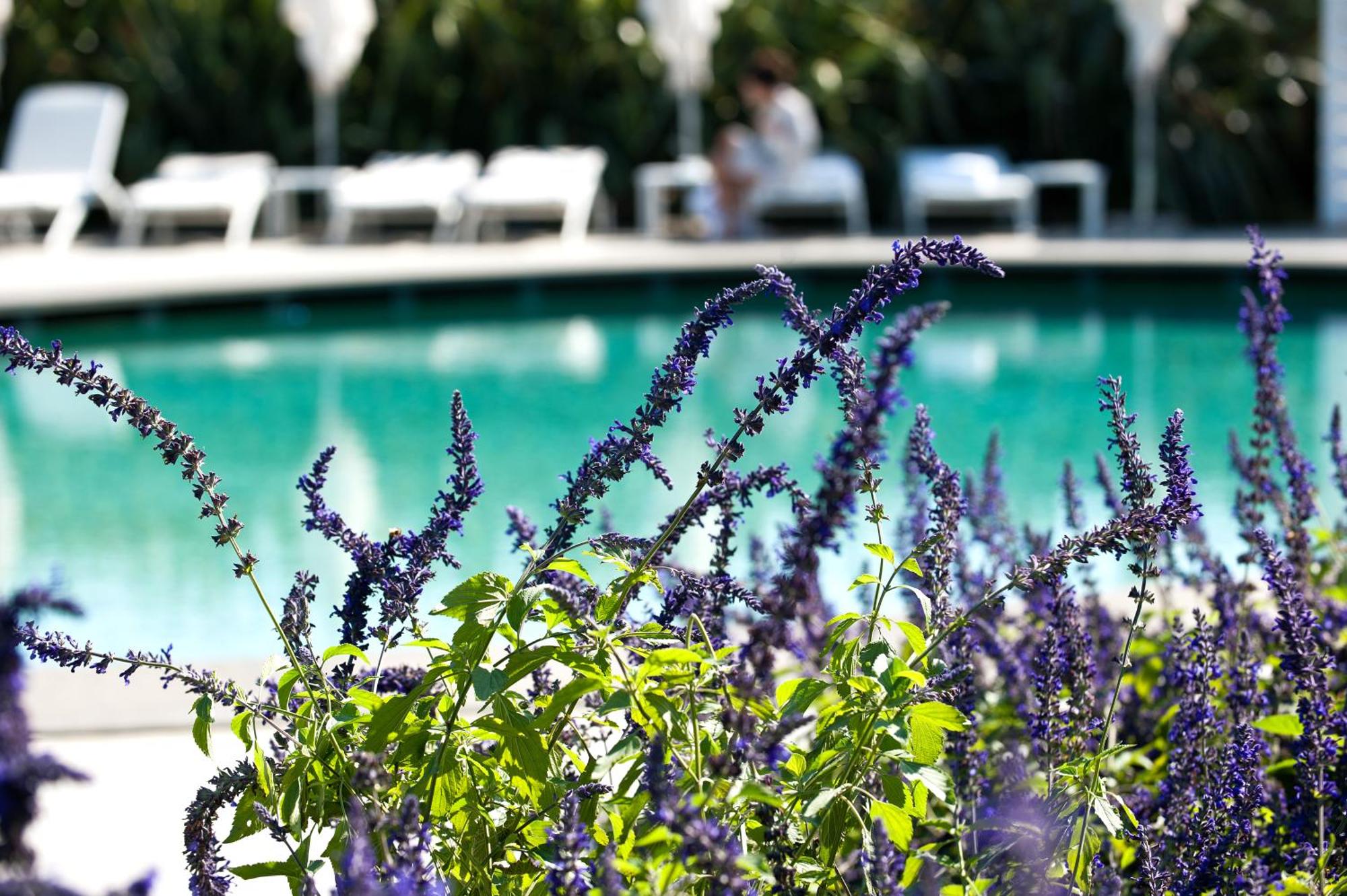 Donna Carmela Resort & Lodges