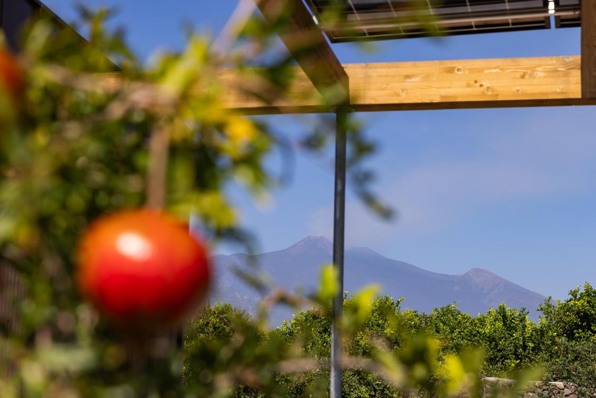 Mantàri Eco Lodges