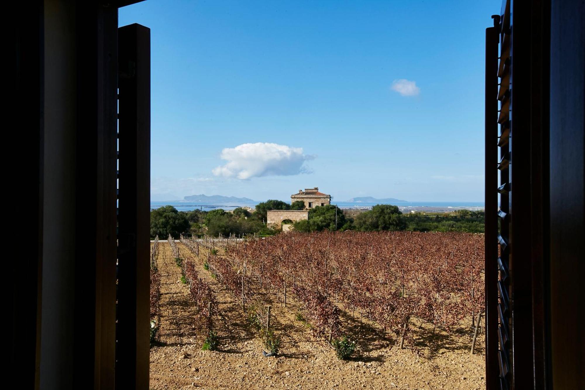 Agriturismo Baglio Donnafranca Wine Resort