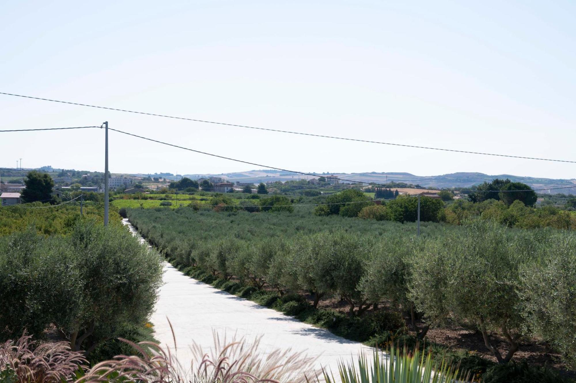 Oikos in Terre di Zaccanello