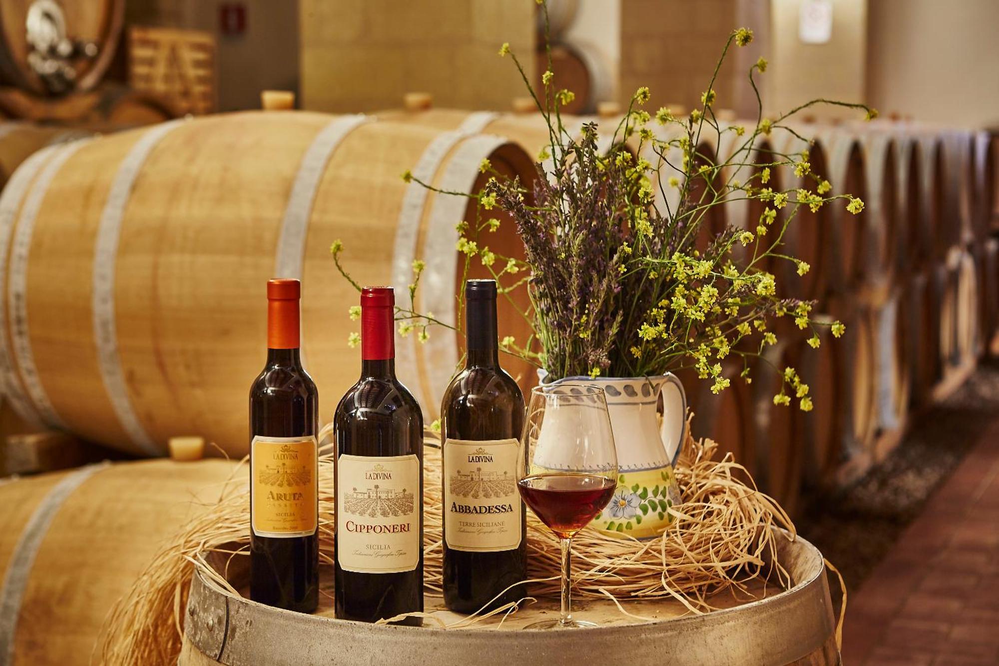 Agriturismo Baglio Donnafranca Wine Resort