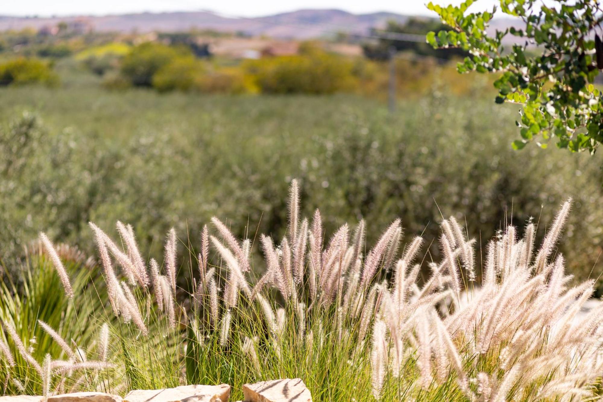 Oikos in Terre di Zaccanello