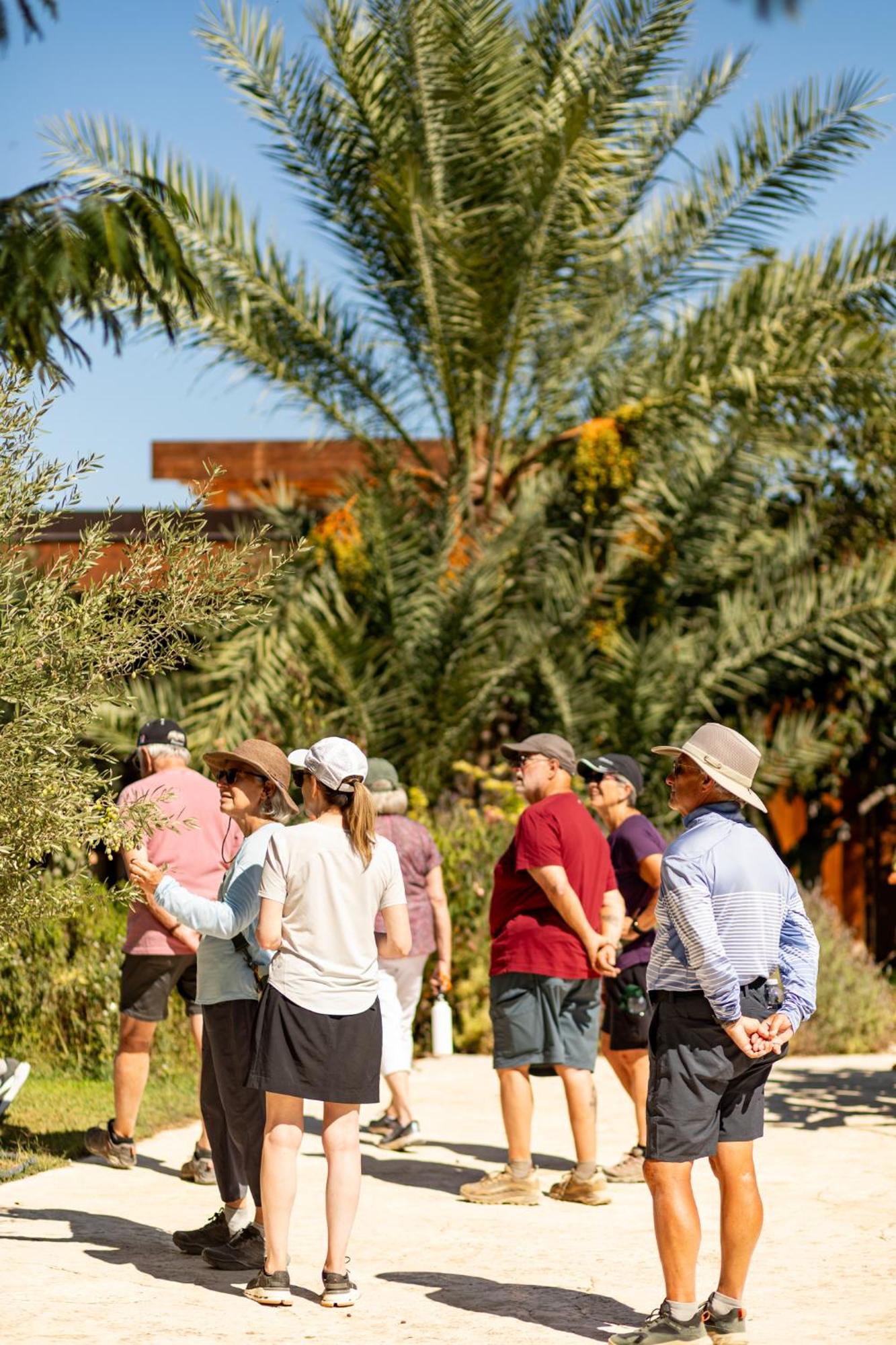 Oikos in Terre di Zaccanello