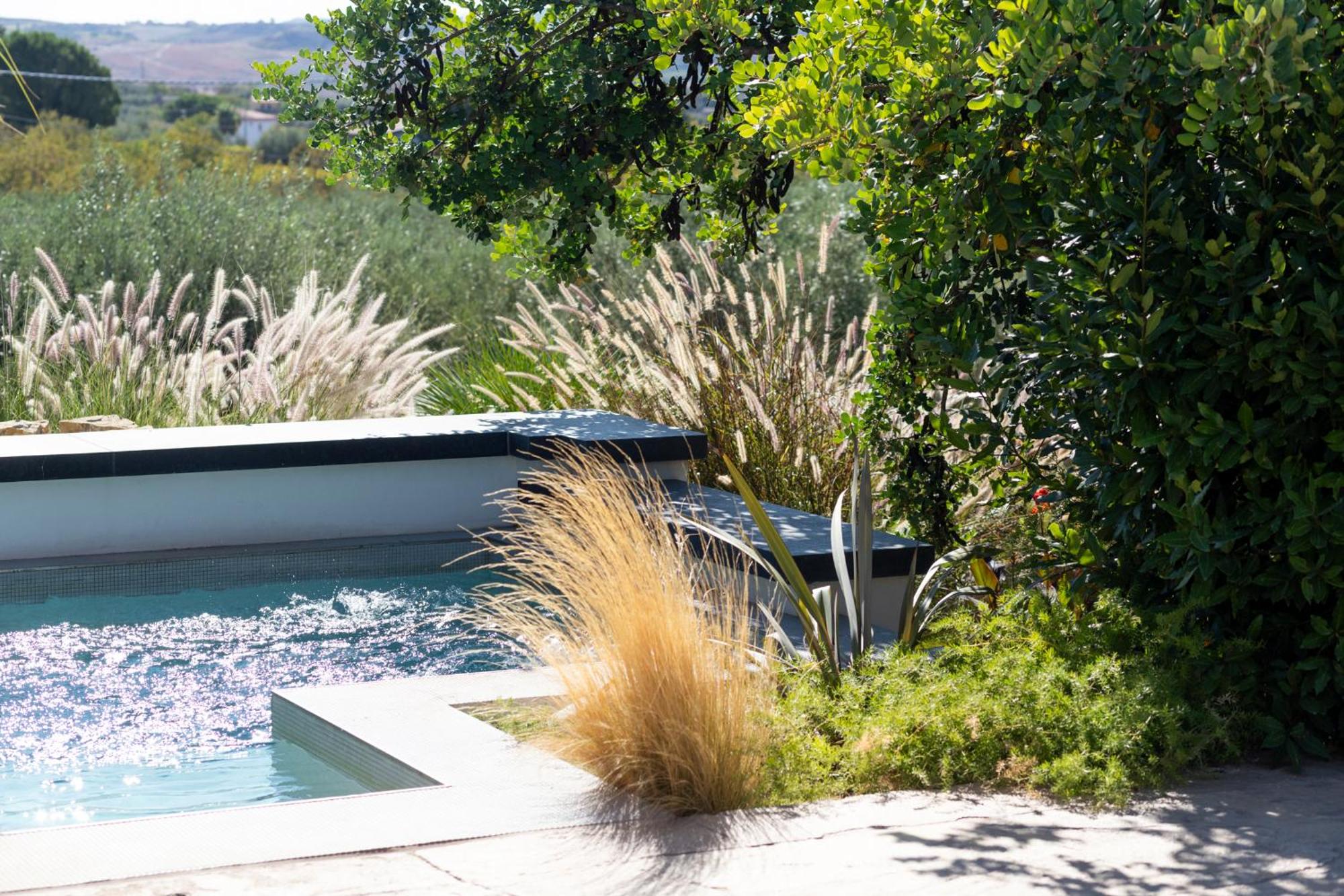 Oikos in Terre di Zaccanello