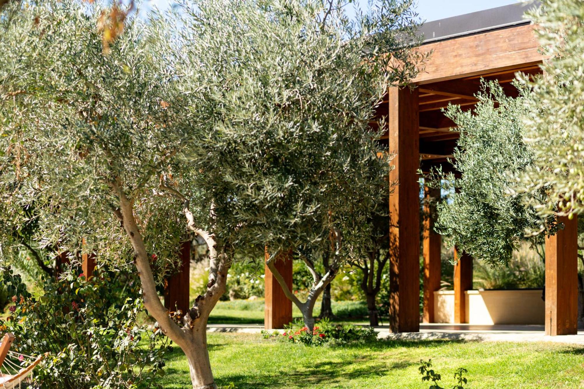 Oikos in Terre di Zaccanello