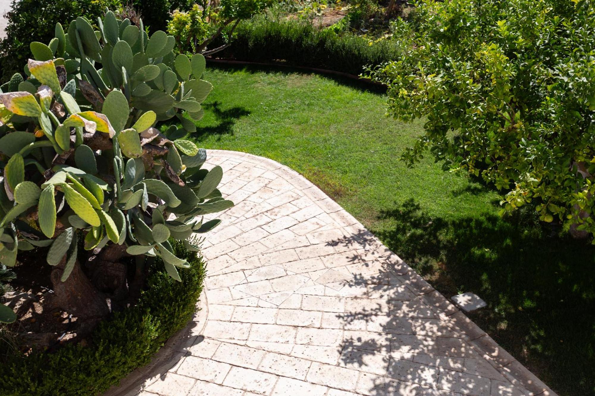 Oikos in Terre di Zaccanello