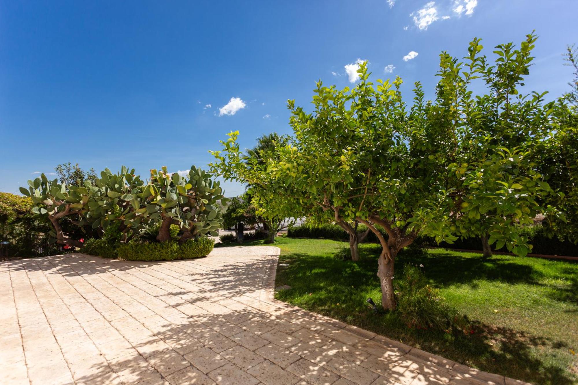 Oikos in Terre di Zaccanello