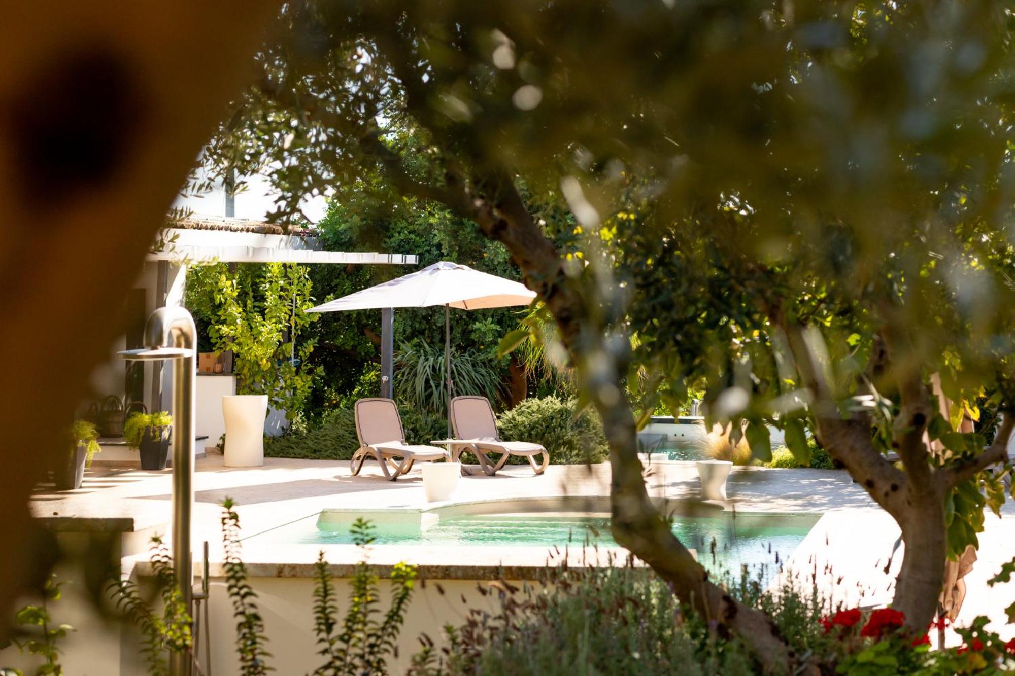 Oikos in Terre di Zaccanello