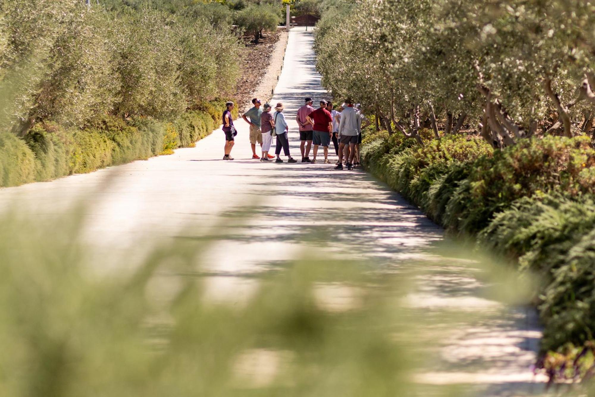 Oikos in Terre di Zaccanello