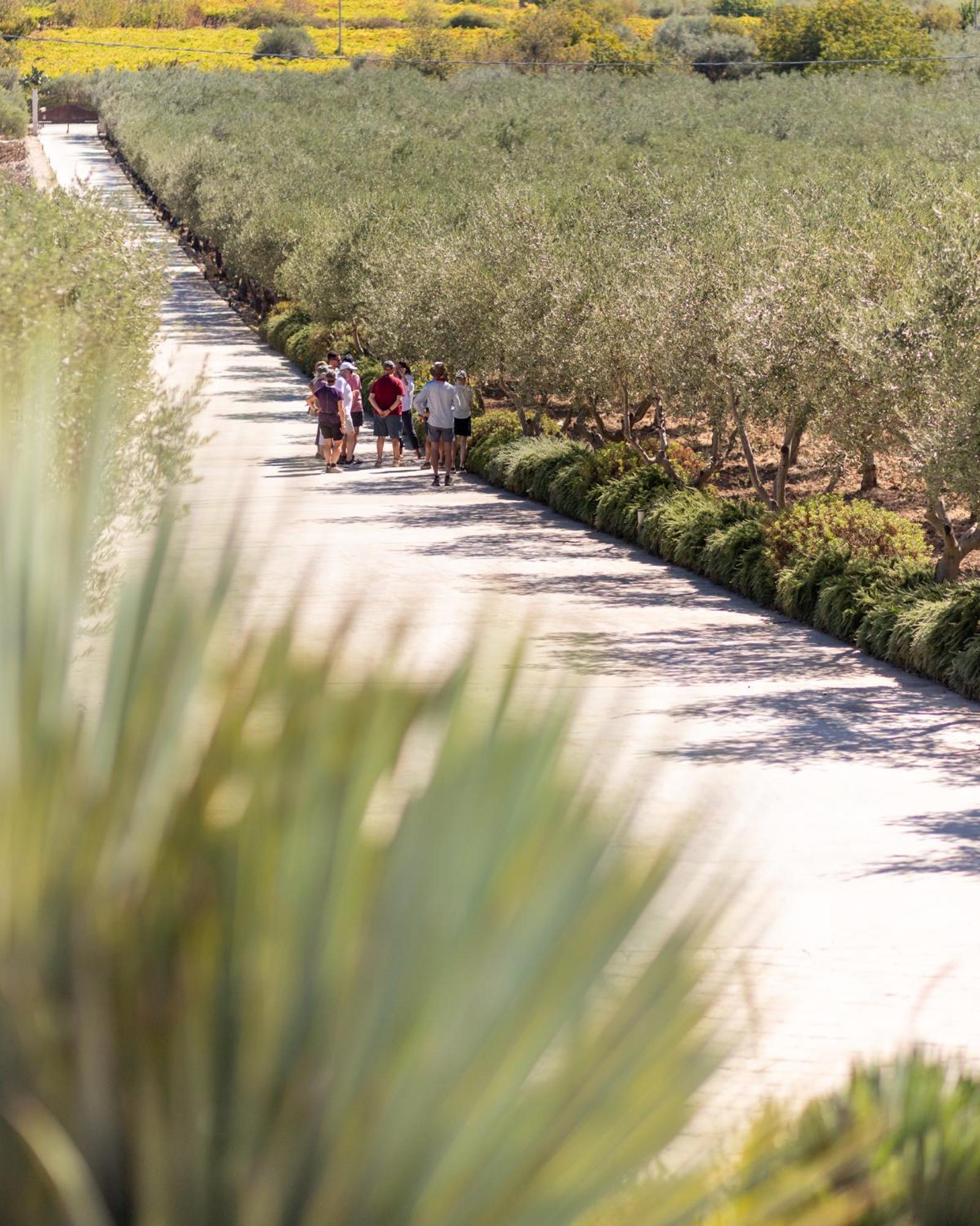 Oikos in Terre di Zaccanello