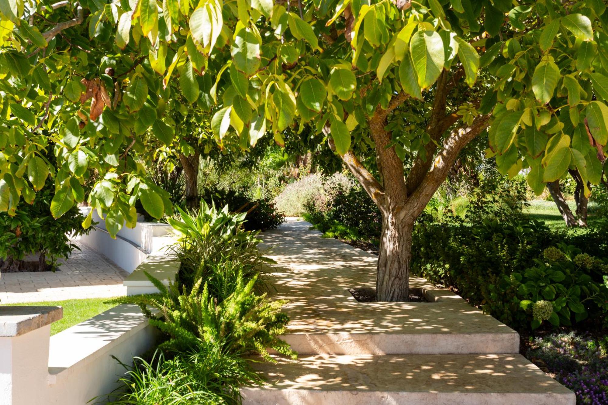 Oikos in Terre di Zaccanello