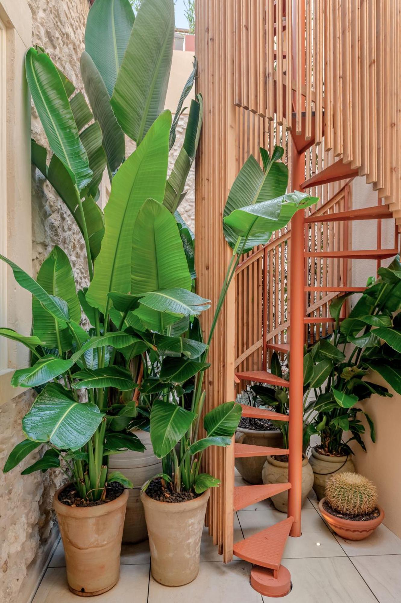 COOL DREAMS Luxury Rooms