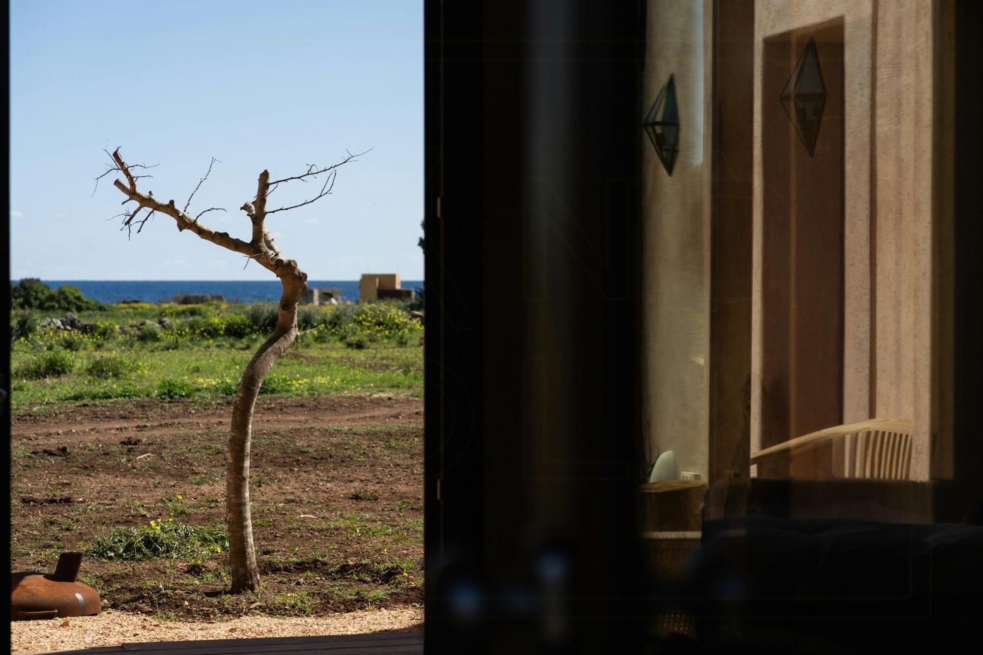 Mediterranean House With Organic Garden, Favignana