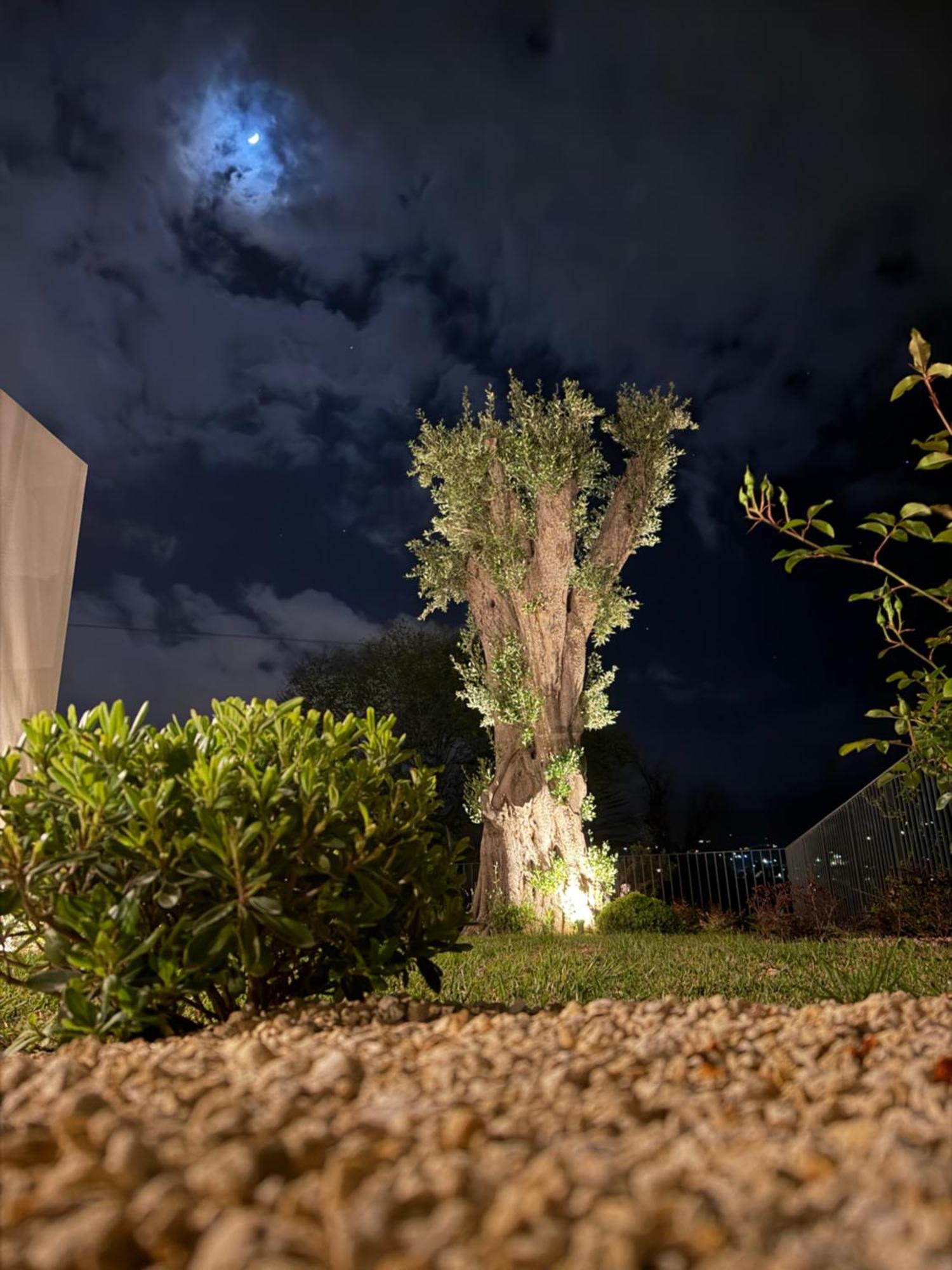 Flora Sicula - Country Hotel - Cultivating Hospitality